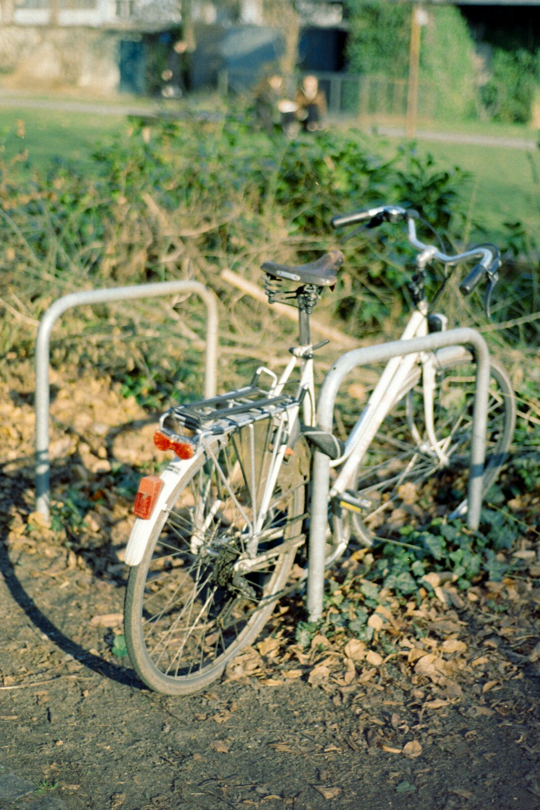 sustainable outdoor activity