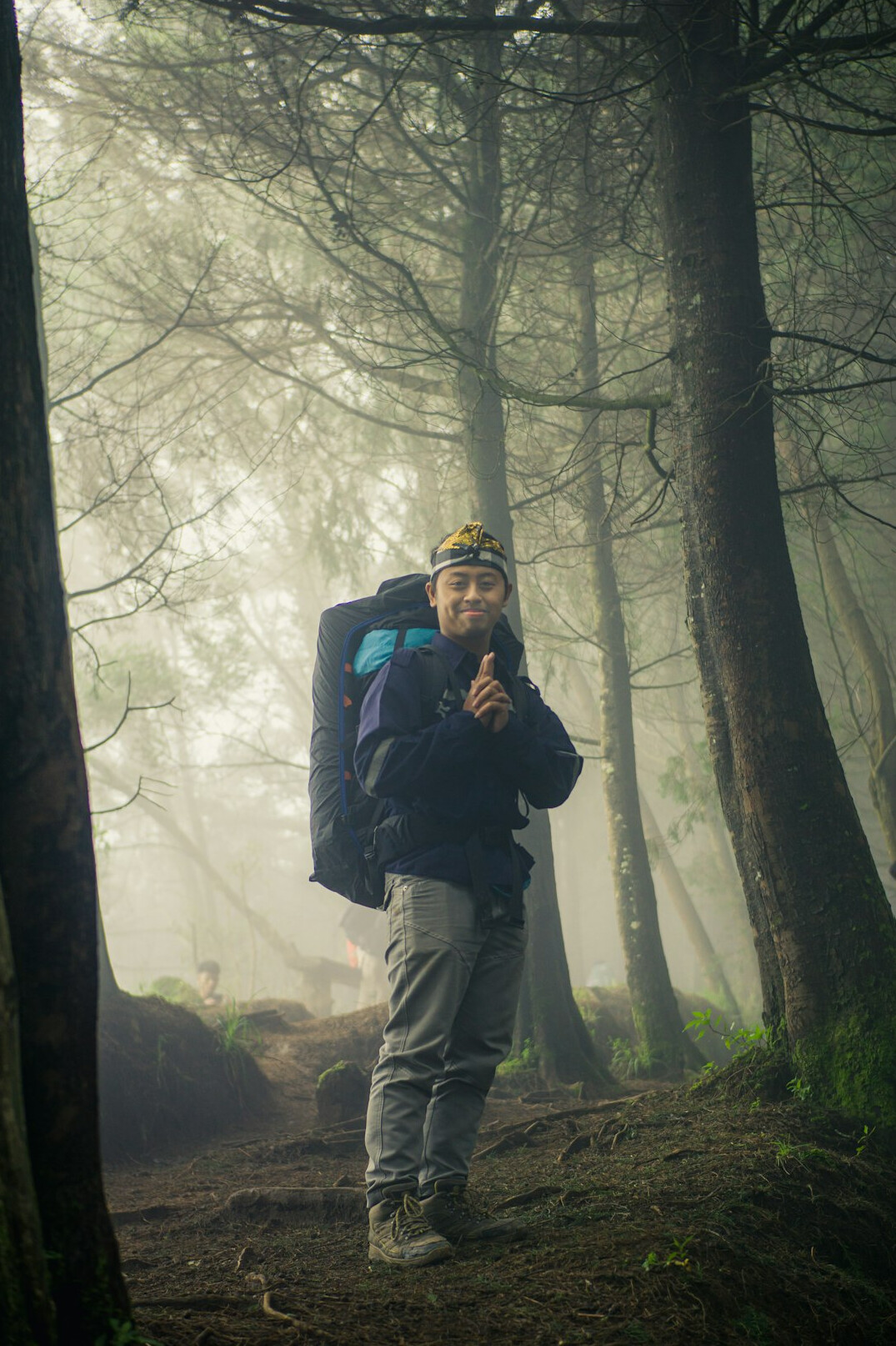 people hiking in forest