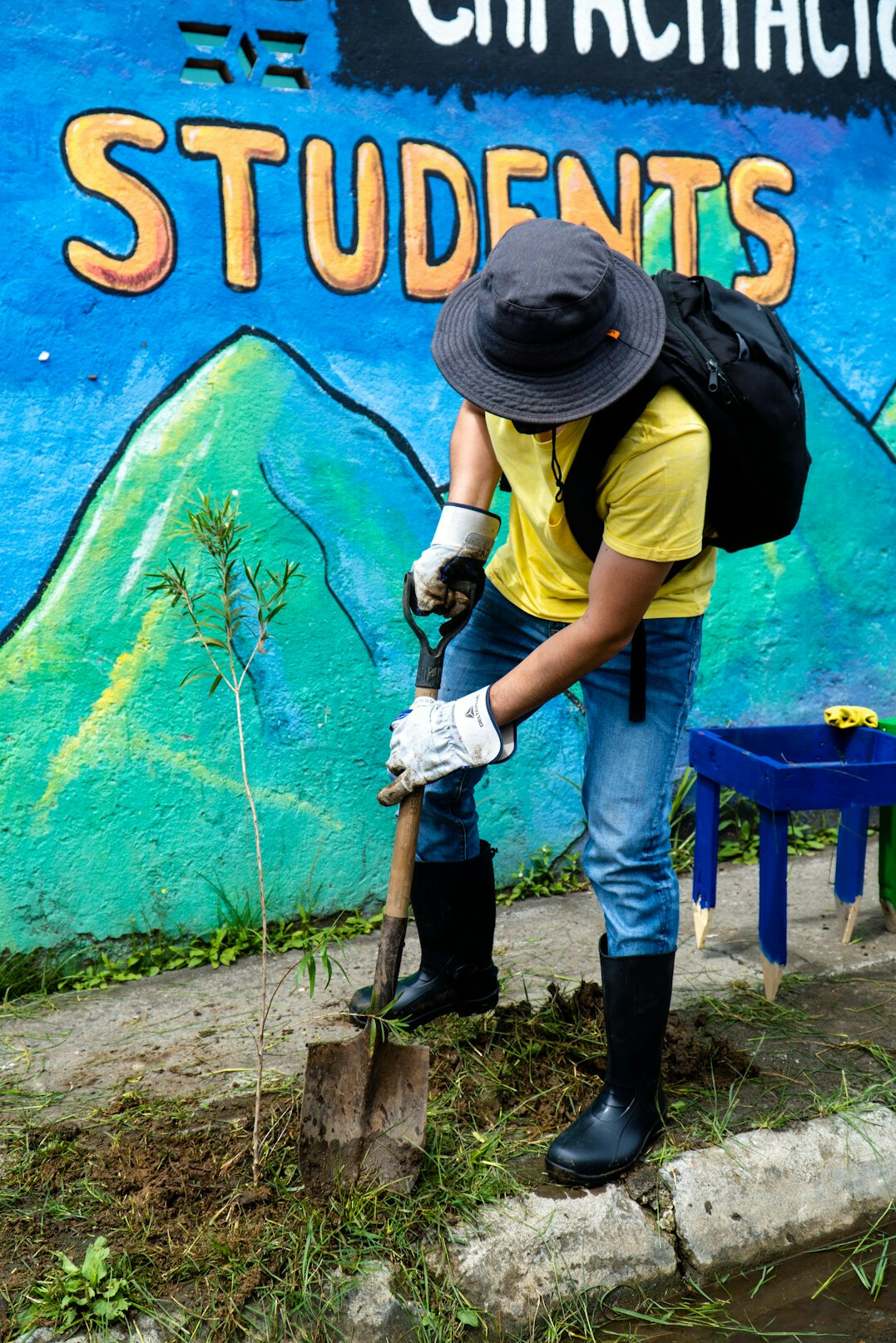 volunteers planting trees